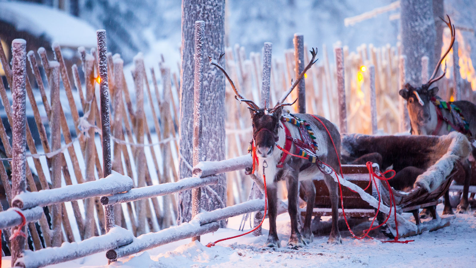Veckans resa: Jokkmokk & Ishotellet
